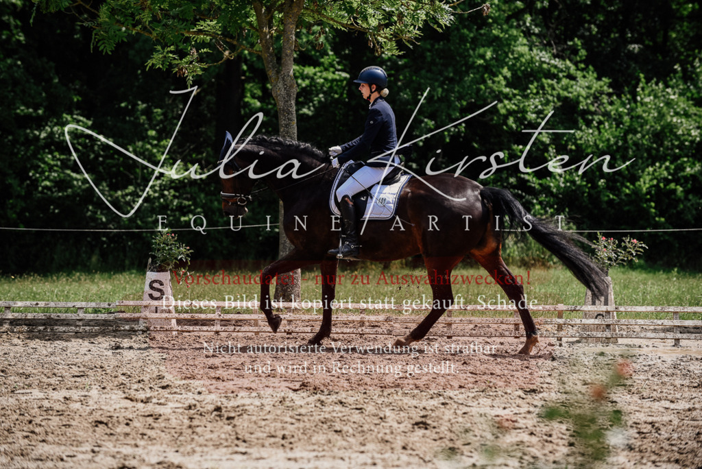 DSC_1493 | Pferde- und Turnierfotografie in Westsachsen. Pferdeportraits, Auftragszeichnungen und intuitive Kunst.