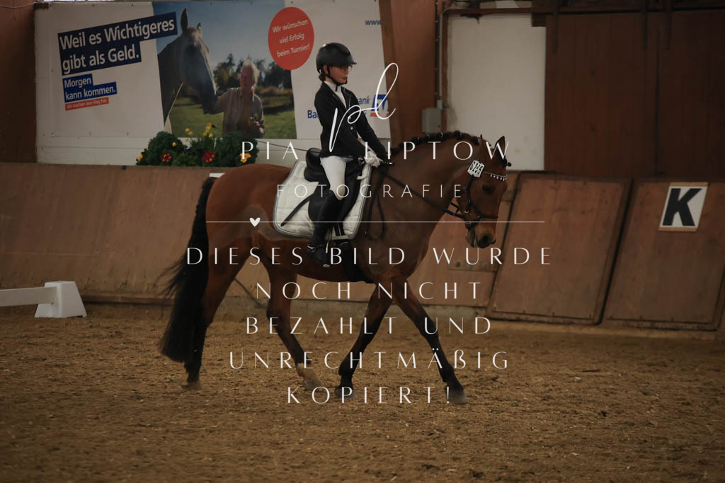 IMGT0929 | pl-fotografie