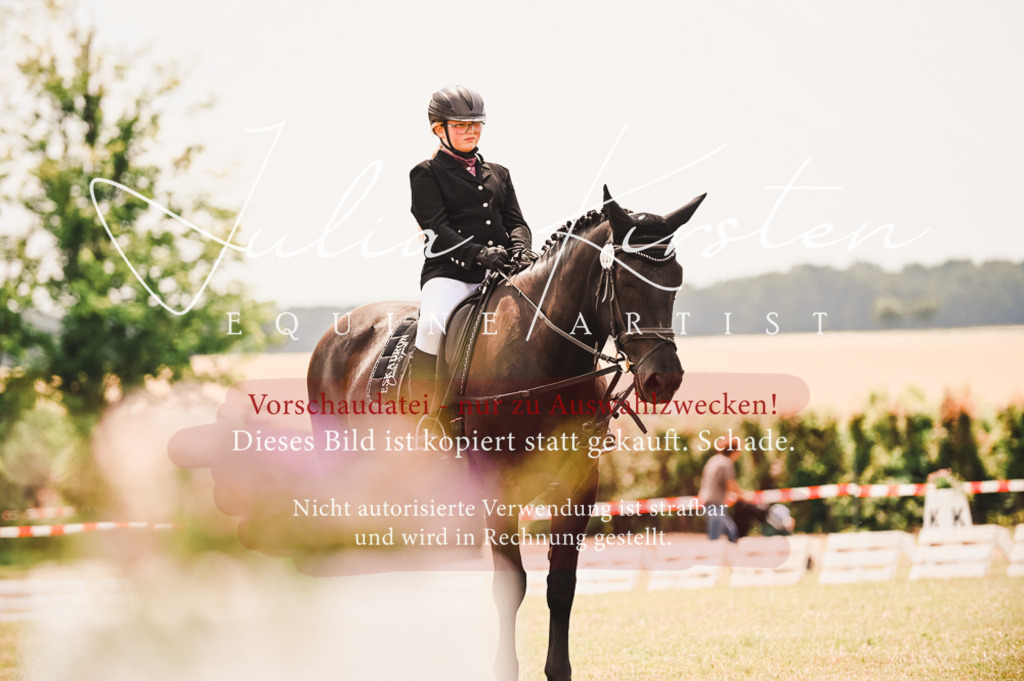 DSC_6277 | Pferde- und Turnierfotografie in Westsachsen. Pferdeportraits, Auftragszeichnungen und intuitive Kunst.