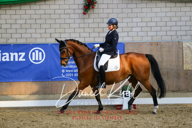 IMG_2619 | Turnierfotos kaufen im Webshop von Daniel Kuhl Photography – entdecke professionelle Reitsportfotos aus Turnieren & Events. Hochwertige Turnierbilder online bestellen & sichern. Jetzt Fotos von Reitsportturnieren kaufen!