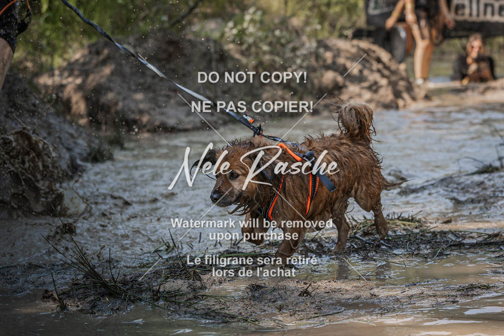 nelerasche_Hoope2026_Sa1500-1530_96 | nelerasche