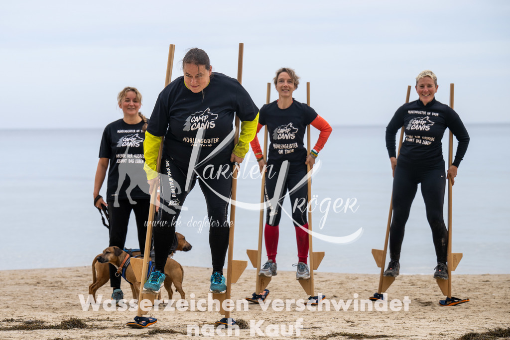 1258_ZZ93167 | kk-dogfotos