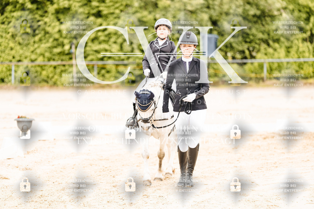 CK903689 | Turnierfotografie Pferdefotografie Trier Rheinland-Pfalz Pferdesport Reitsport Tierfotografie Sportfotografie Pferdevideo Pferdevideografie Equestrianvideography equestrianphotography  - Realisiert mit Pictrs.com
