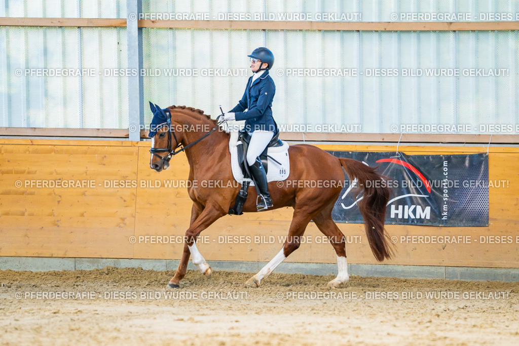 DSC06537 | Pferdegrafie