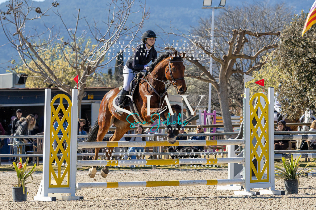 IMG_1294 | s-jay-photography - Realisiert mit Pictrs.com