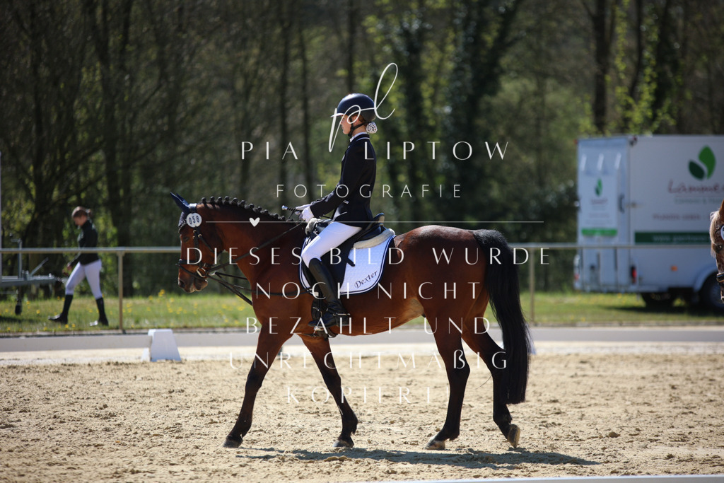 IMGT0235 | pl-fotografie