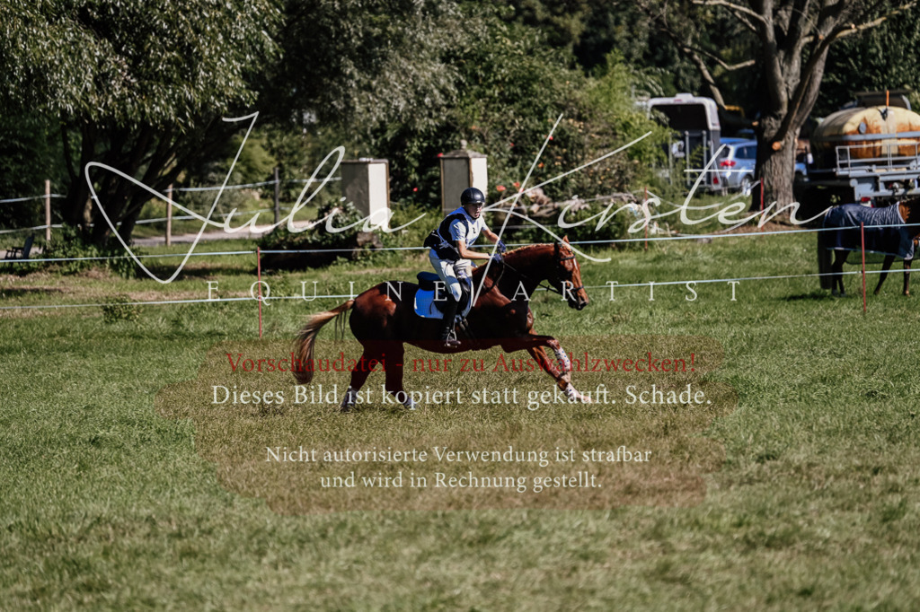 DSC_1358 | Pferde- und Turnierfotografie in Westsachsen. Pferdeportraits, Auftragszeichnungen und intuitive Kunst.