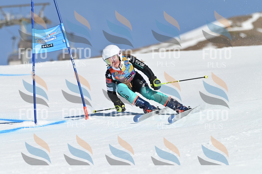 BGV_8138 | holidayphoto