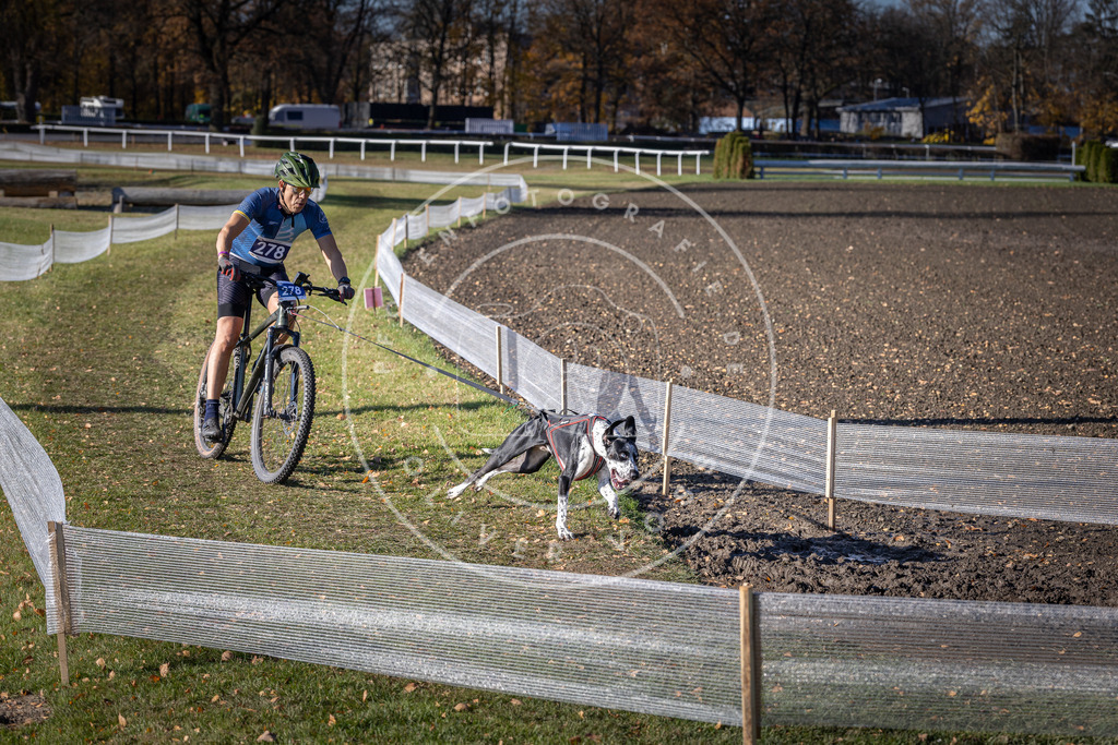 CaniXpix_DV3A5455 | Hundefotografie, Tierfotograf, Pfotenfotografie, Fotoshooting Hund, Hunde Portrait, Hundesport, Hundeportraits, Heideshooting, Hunde, Sportfotograf, Hundefotograf, Turnierhundsport, THS,  - Realisiert mit Pictrs.com