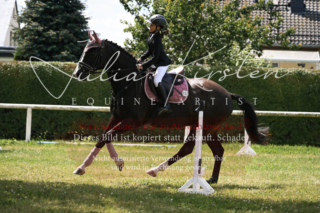 DSC_9360 | Pferde- und Turnierfotografie in Westsachsen. Pferdeportraits, Auftragszeichnungen und intuitive Kunst.
