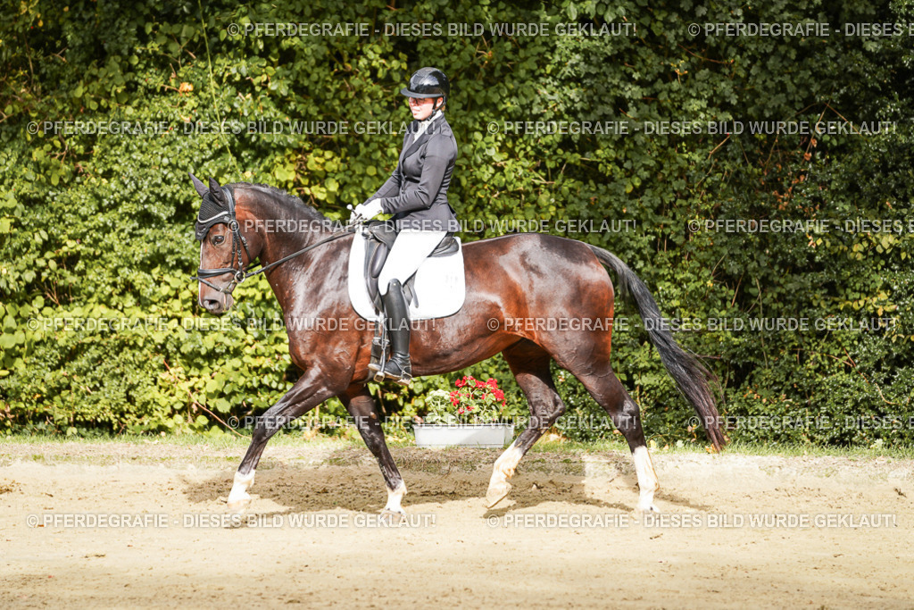 DSC09584 | Pferdegrafie