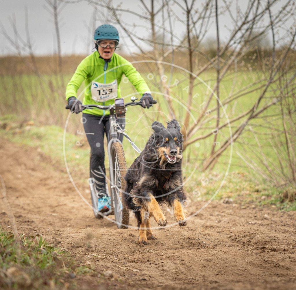 DV3A1559 | Hundefotografie, Tierfotograf, Pfotenfotografie, Fotoshooting Hund, Hunde Portrait, Hundesport, Hundeportraits, Heideshooting, Hunde, Sportfotograf, Hundefotograf, Turnierhundsport, THS,  - Realisiert mit Pictrs.com
