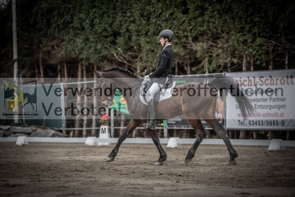 DSC_9371 | equestrian-live-com