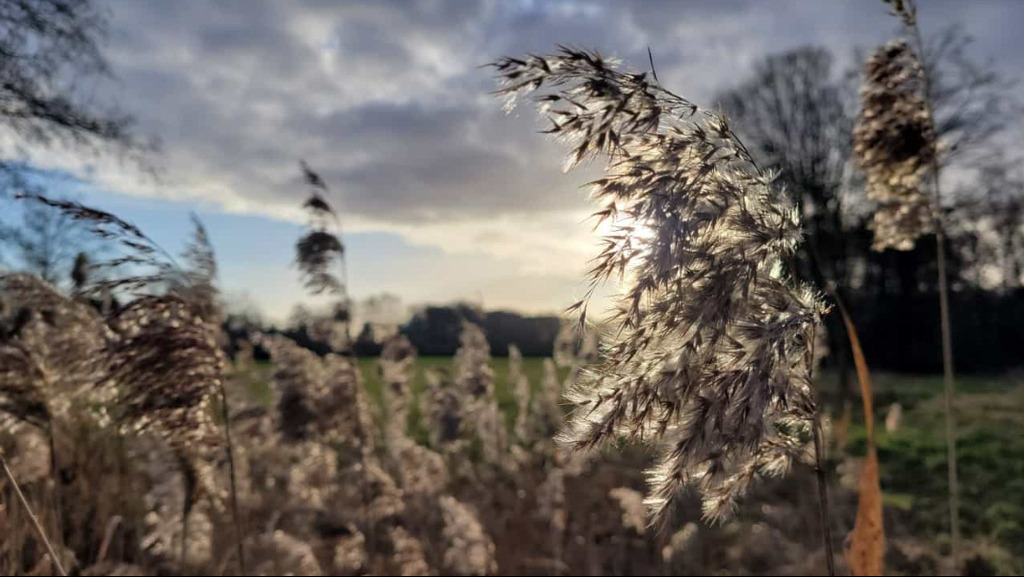 PSX_20230115_002211 | mtkfoto_ - Realisiert mit Pictrs.com