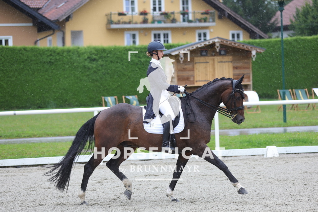 0P6A1162 | Willkommen bei Brunnmayr - Design & Fotografie – Ihrem Spezialisten für Reitturniere und Pferdeveranstaltungen in Oberösterreich, Salzburg und Bayern! Seit über 17 Jahren sind wir leidenschaftlich dabei.