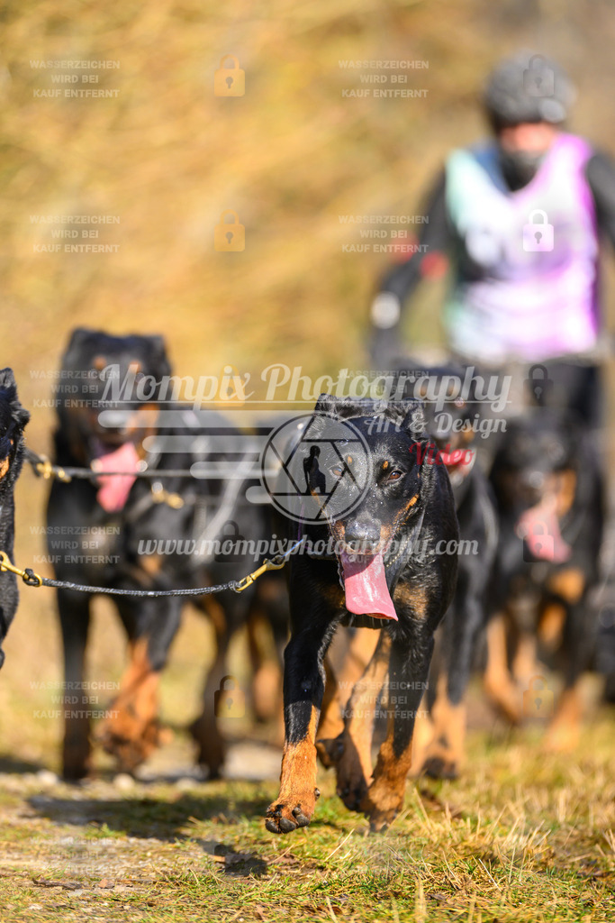 MompixPhotography_Schwabentrail2025_SO_Kart-9 | PayLife