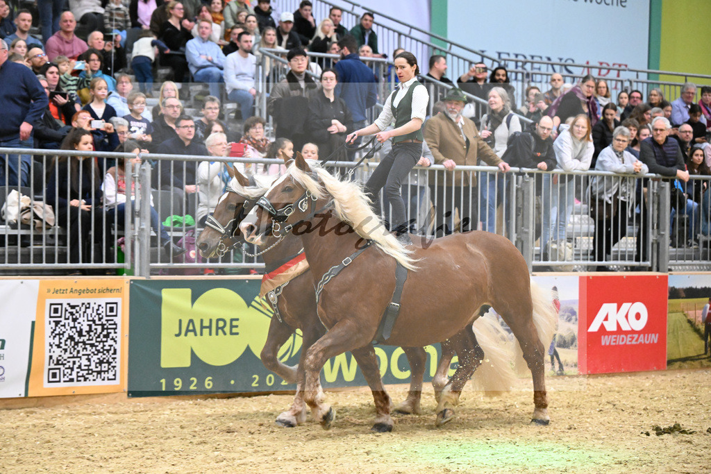 Schauprogramm_Ungar. Post_1260922 | hf-fotografie - Realisiert mit Pictrs.com