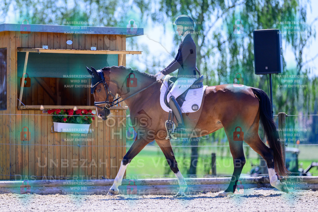 29052026-Forstinning-Prfg15-0215 | Fokus Hufschlag Fotografie - Realisiert mit Pictrs.com