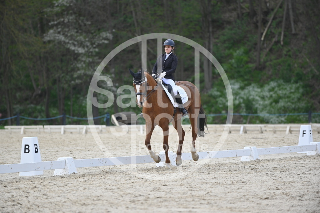 DSC_4857 | sattelsport - Realisiert mit Pictrs.com