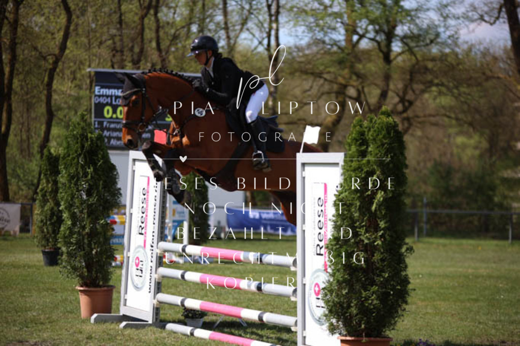 IMGT5504 | pl-fotografie