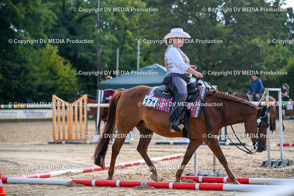 ZS1_3329 | dv-media-shop - Realisiert mit Pictrs.com