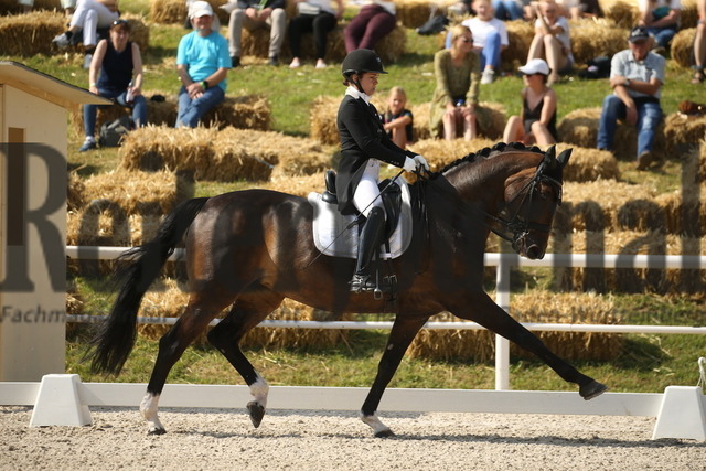 Birkhof_2022_GrandPrixSpecial_Franziska Stieglmaier_DSP Dauphin (8) | Alle Fotos der Reiterjournal Fotografin Doris Matthaes im Reiterjournal Online-Fotoshop. - Realisiert mit Pictrs.com