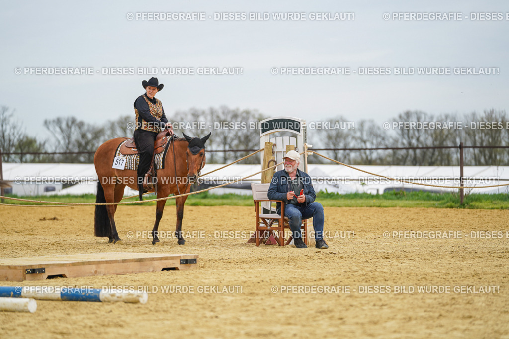 DSC03042 | Pferdegrafie