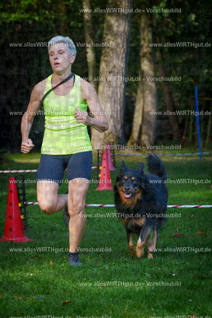 THS_Turnier_27-09-2026-allesWIRTHgut_Tierfotografie-7R505986 | Professionelle Tierfotografie in Mönchengladbach von Daniel Wirth (allesWIRTHgut). Liebevolle & natürliche Bilder von Hunden & Katzen für unvergessliche Erinnerungen.