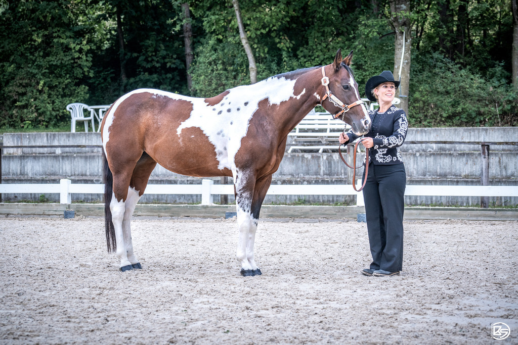 HEB06471 | BS-foto