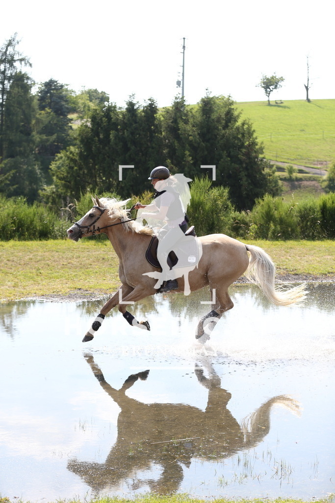 DL2Q2855 | Willkommen bei Brunnmayr - Design & Fotografie – Ihrem Spezialisten für Reitturniere und Pferdeveranstaltungen in Oberösterreich, Salzburg und Bayern! Seit über 17 Jahren sind wir leidenschaftlich dabei.