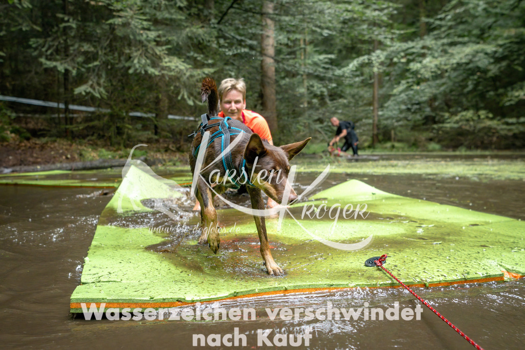 1539_ZZ91738-Bearbeitet | kk-dogfotos