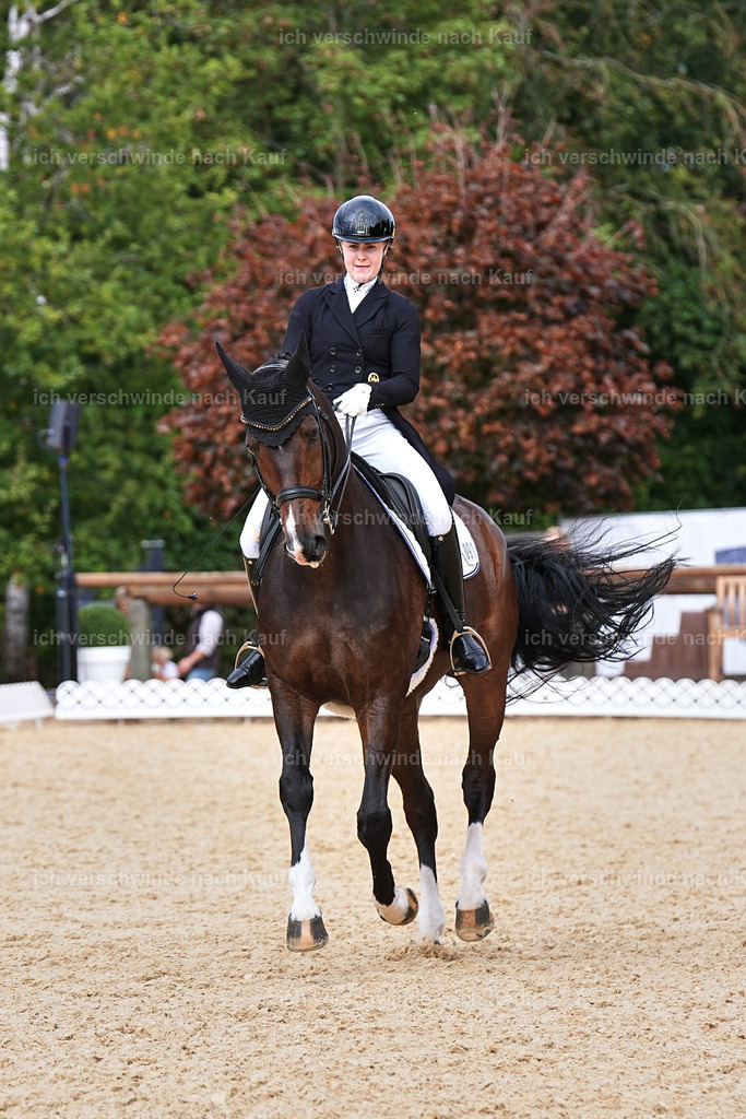 11-091-Dressur S___-Marixx-1630 | working equitationturnier fotograf videograf stoibphotography marixx film working equitation deutschland reitsport turnierfotografie eventfotografie equestrian events