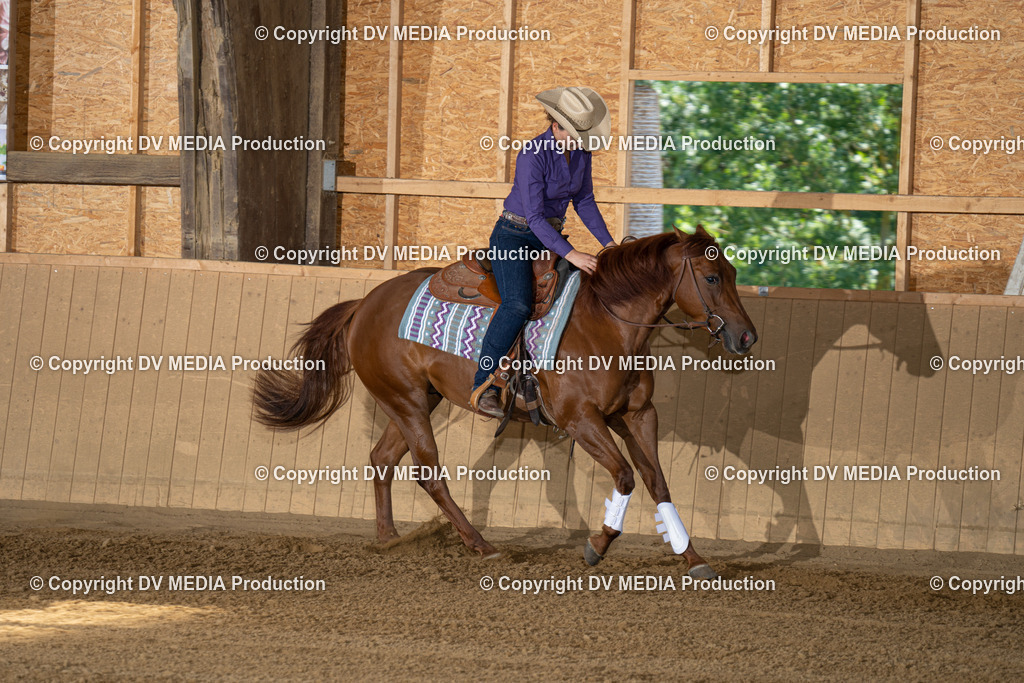 DSC00024 | dv-media-shop - Realisiert mit Pictrs.com