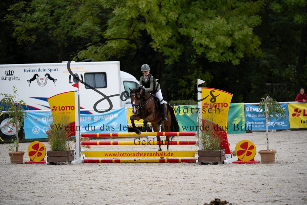 A7V08400 | Pferdefotograf