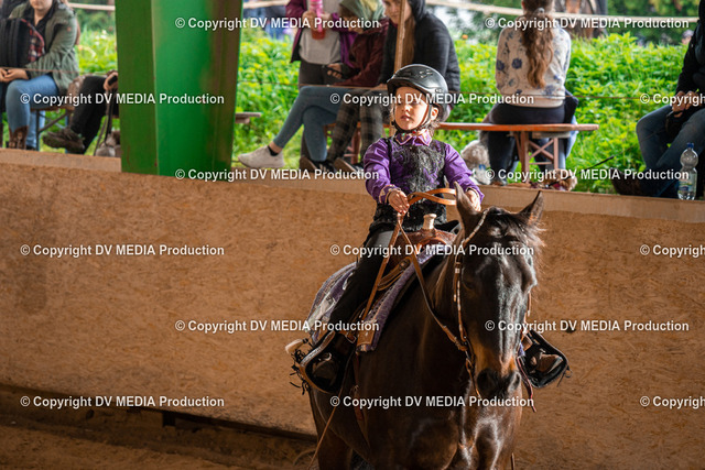 BAL01441 | dv-media-shop - Realized with Pictrs.com