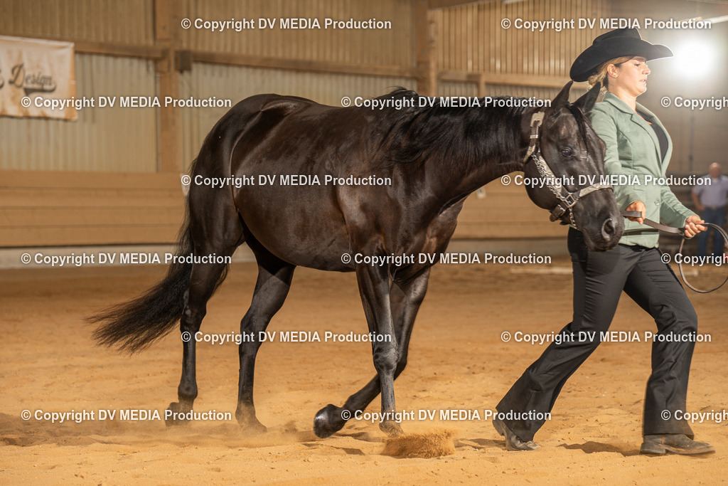 NID02454 | dv-media-shop - Realisiert mit Pictrs.com