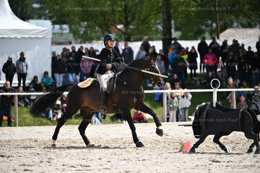 PI26_SP_Sara_Landvogt_226_5823.JPG | working equitationturnier fotograf videograf stoibphotography marixx film working equitation deutschland reitsport turnierfotografie eventfotografie equestrian events