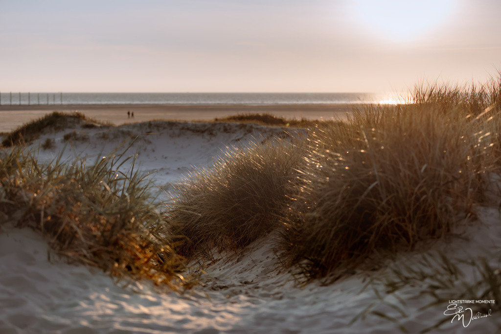 20240508-201311 NORDSEE SPO _332-1 | Herzlich willkommen auf meiner Seite! Ich bin Elke Wallnisch, Deine Fotografin für lichtstarke Momente. Der Name steht für alles, was mich mit der Fotografie verbindet: Das Licht und seine machtvolle Wirkung auf eine Situation oder unsere Stimmung - Realisiert mit Pictrs.com