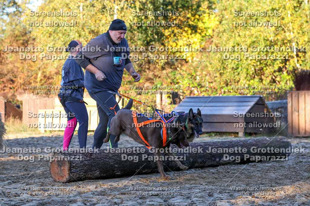 Dog Paparazzi - Strongdog 10-25-652 | Dog Paparazzi Jeanette Grottendiek Fotografie & Videografie - Realisiert mit Pictrs.com