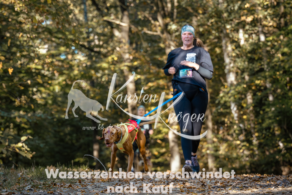1125_ZZ92317 | kk-dogfotos