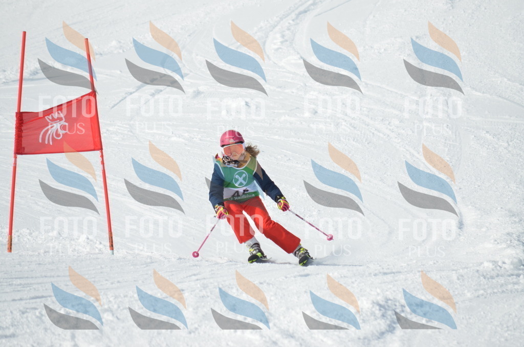 D8749 | holidayphoto