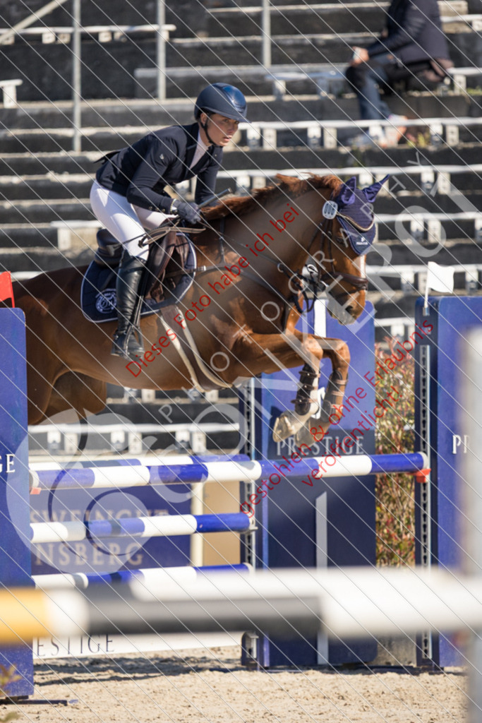 IMG_3181 | Sport-, Event- und Tierfotos in Profiqualität. Einfach auswählen, bestellen und herunterladen. Dein Moment – perfekt festgehalten.