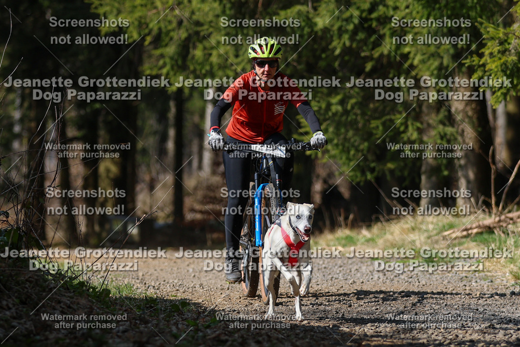Dog Paparazzi - VCC26-205 | Dog Paparazzi Jeanette Grottendiek Fotografie & Videografie - Realisiert mit Pictrs.com