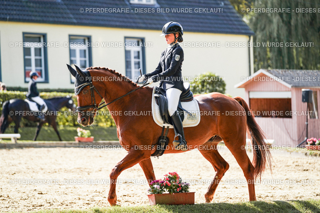 DSC08452 | Pferdegrafie