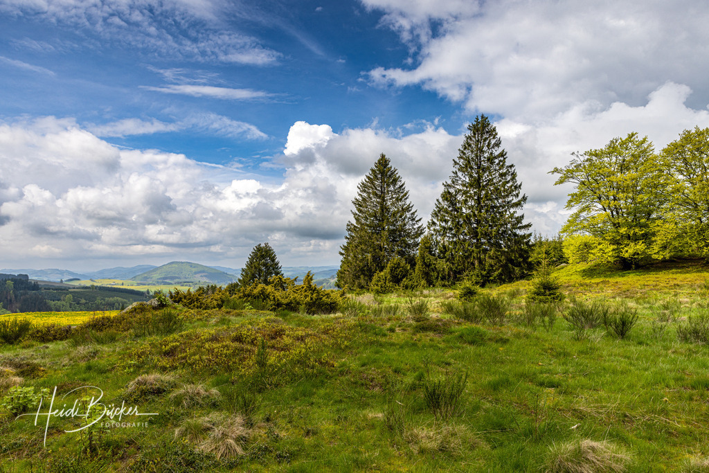 Felsformation im NSG Kalte Kirche bei Westfeld | Felsformation im NSG Kalte Kirche bei Westfeld - Realisiert mit Pictrs.com