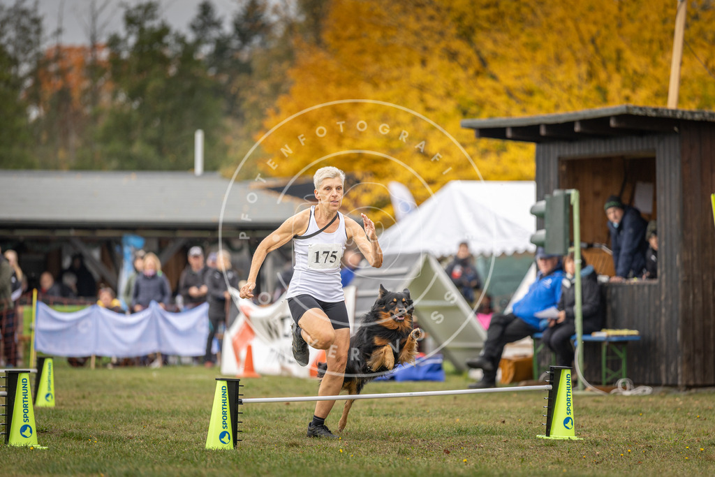 Pfotenfotografie_DV3A5420 | Hundefotografie, Tierfotograf, Pfotenfotografie, Fotoshooting Hund, Hunde Portrait, Hundesport, Hundeportraits, Heideshooting, Hunde, Sportfotograf, Hundefotograf, Turnierhundsport, THS,  - Realisiert mit Pictrs.com