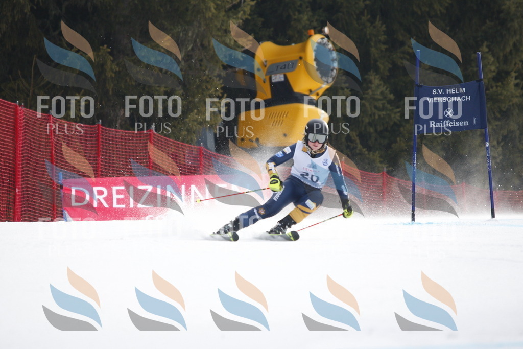 D4846 | holidayphoto