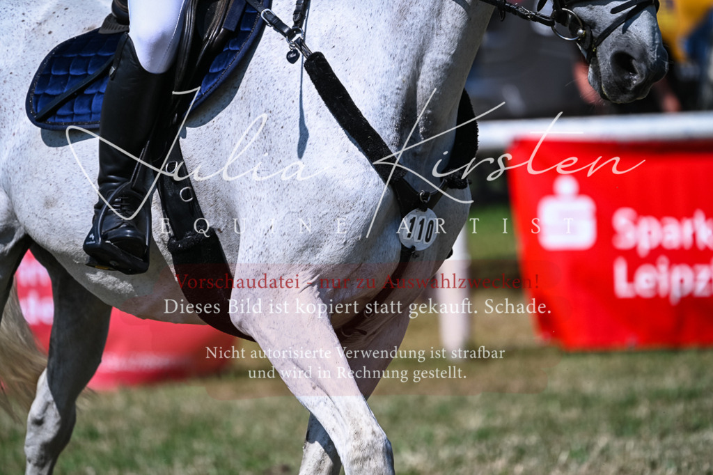 DSC_1393 | Pferde- und Turnierfotografie in Westsachsen. Pferdeportraits, Auftragszeichnungen und intuitive Kunst.