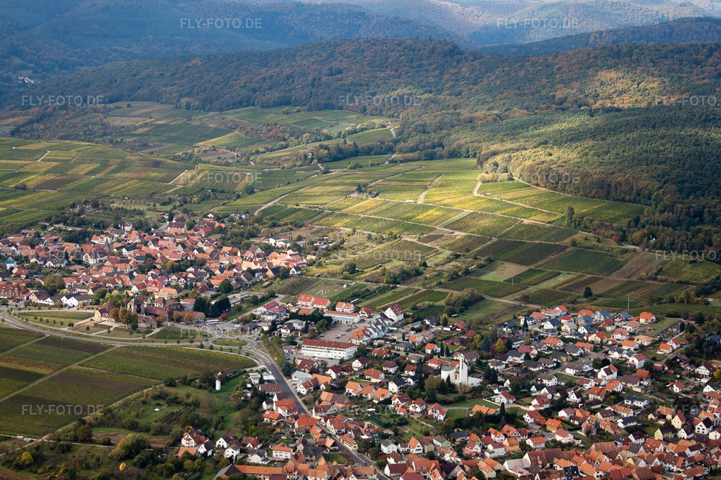 Luftbild: Winzerdorfansicht von Norden unter der Weinlage Sonnenberg im Ortsteil Rechtenbach in Schweigen-Rechtenbach im Bundesland Rheinland-Pfalz in Deutschland. Foto: IMG_22446.jpg vom 15.10.2009 durch Werner Riehm/FLY-FOTO.de