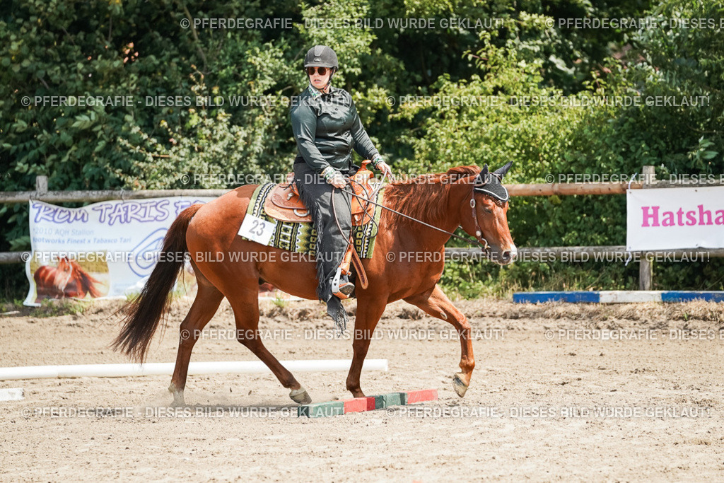 DSC06514 | Pferdegrafie